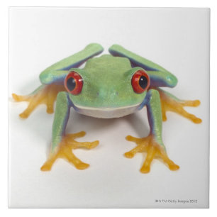Weiblicher Frosch Fliese
