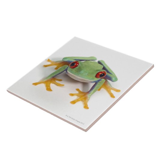 Weiblicher Frosch Fliese (Seite)