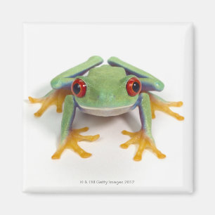 Weiblicher Frosch Magnet