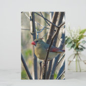 Weiblicher Kardinal Briefpapier (Stehend Vorderseite)