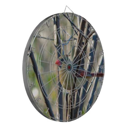 Weiblicher Kardinal Dartscheibe (Vorderseite Links)