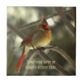 Weiblicher Kardinal Fliese (Vorderseite)