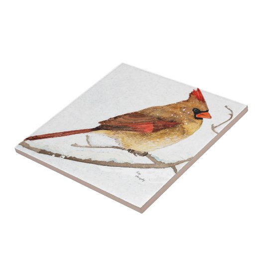 Weiblicher Kardinal Fliese (Seite)