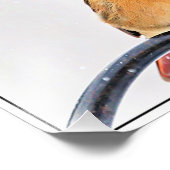 Weiblicher Kardinal Fotodruck (Ecke)