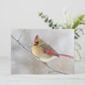 Weiblicher Kardinal im Schnee Feiertagskarte (Stehend Vorderseite)