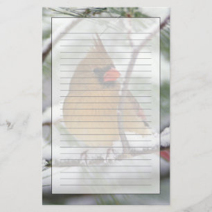 Weiblicher Kardinal im schneebedeckten Kiefernbaum Briefpapier