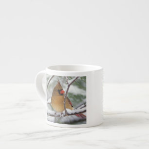 Weiblicher Kardinal im schneebedeckten Kiefernbaum Espressotasse