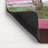Weiblicher Kardinal in Birdbad Mousepad (Ecke)