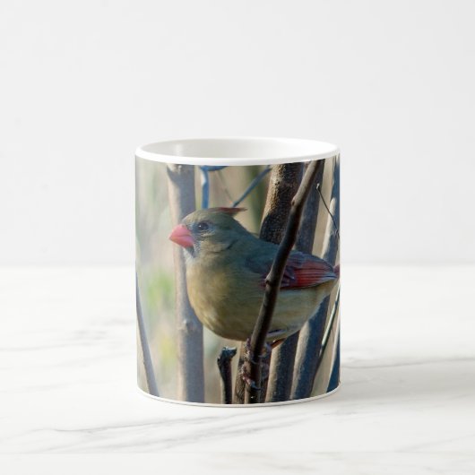 Weiblicher Kardinal Kaffeetasse (Mittel)