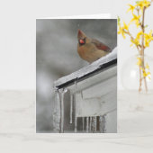 Weiblicher Kardinal Karte (Gelbe Blume)