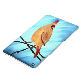 Weiblicher Kardinal Magnet (Linke Seite)