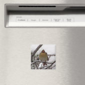 Weiblicher Kardinal Magnet (In Situ (Geschirrspüler))