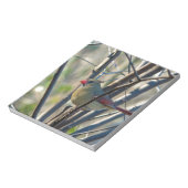 Weiblicher Kardinal Notizblock (Rotiert)