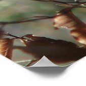 Weiblicher Kardinal Poster (Ecke)