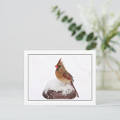 Weiblicher Kardinal Postkarte (Stehend Vorderseite)
