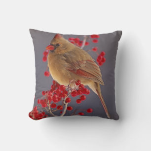 Weiblicher Kardinalkardinal unter Weißdorn Kissen