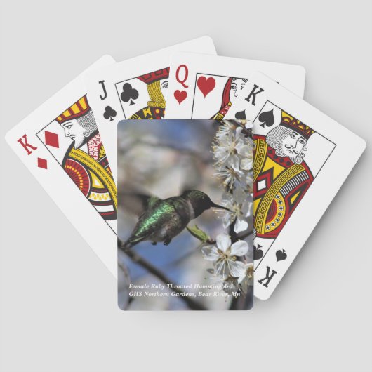 Weiblicher karminroter Throated Kolibri Spielkarten (Rückseite)