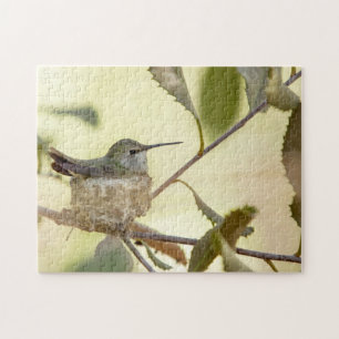 Weiblicher Kolibri auf ihrem Nest Puzzle