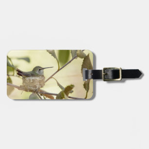 Weiblicher Kolibri auf seinem Nest Gepäckanhänger