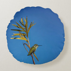 Weiblicher Kolibri  Rundes Kissen