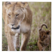 Weiblicher Löwe mit Kübel Fliese (Vorderseite)