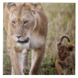 Weiblicher Löwe mit Kübel Fliese