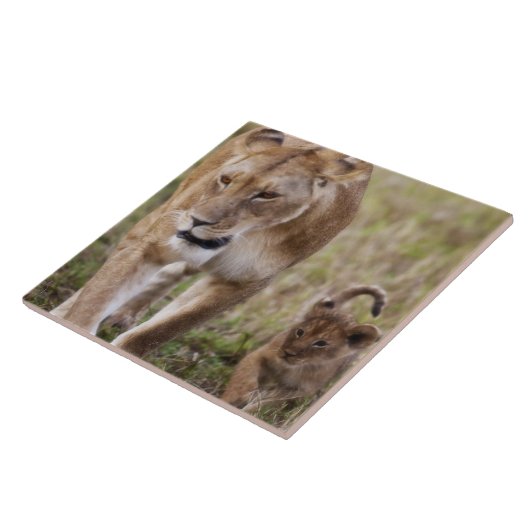 Weiblicher Löwe mit Kübel Fliese (Seite)