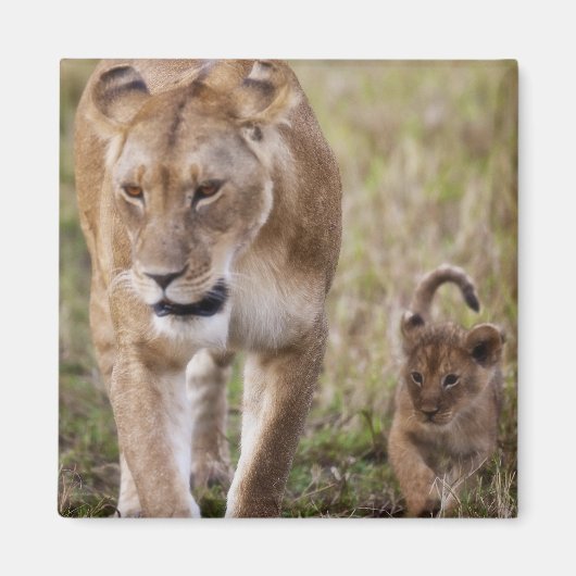 Weiblicher Löwe mit Kübel Magnet (Vorne)