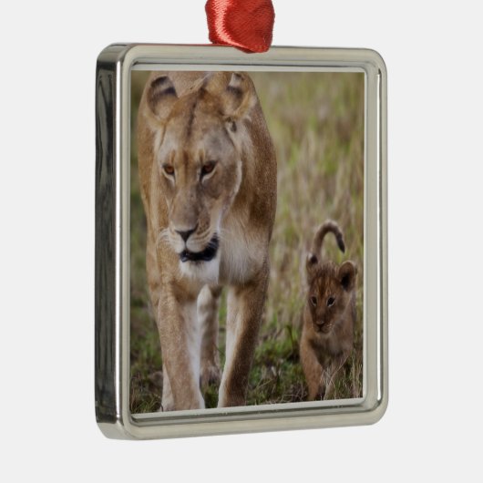 Weiblicher Löwe mit Kübel Ornament Aus Metall (Rechts)