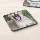 Weiblicher Löwe (Panthera Löwe), Untersetzer (Linke Seite)