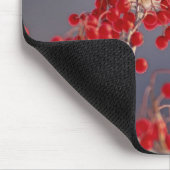 Weiblicher nördlicher Kardinal zwischen Havthorn Mousepad (Ecke)