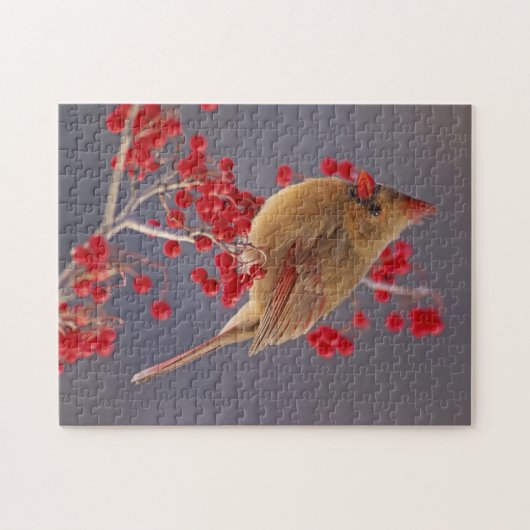 Weiblicher nördlicher Kardinal zwischen Havthorn Puzzle (Horizontal)