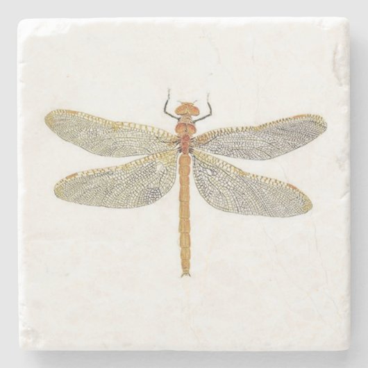 Weiblicher orange Shadowdragon Untersetzer (Vorderseite)