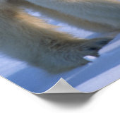 Weiblicher Polar-Bär Stehend mit 2 Cubs bei ihr Poster (Ecke)