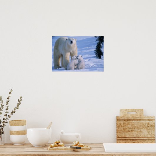 Weiblicher Polar-Bär Stehend mit 2 Cubs bei ihr Poster (Küche)