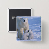 Weiblicher Polar-Bär Stehend mit 2 Cubs Button (Vorne & Hinten)