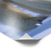 Weiblicher Polar-Bär Stehend mit 2 Cubs Fotodruck (Ecke)