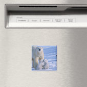 Weiblicher Polar-Bär Stehend mit 2 Cubs Magnet (In Situ (Geschirrspüler))