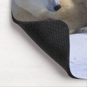 Weiblicher Polarbär mit 2 Coyscubs Mousepad (Ecke)