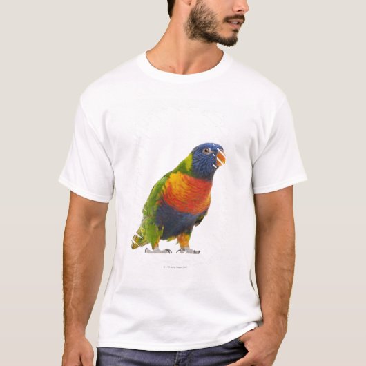 Weiblicher Regenbogen Lorikeet - Trichoglossus T-Shirt (Vorderseite)