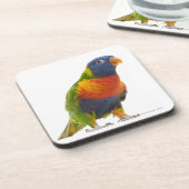 Weiblicher Regenbogen Lorikeet - Trichoglossus Untersetzer (Linke Seite)