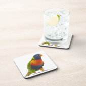 Weiblicher Regenbogen Lorikeet - Trichoglossus Untersetzer (Rechte Seite)