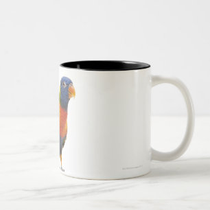 Weiblicher Regenbogen Lorikeet - Trichoglossus Zweifarbige Tasse