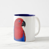 Weibliches Eclectus 11oz Zweifarbige Tasse (VorderseiteRechts)