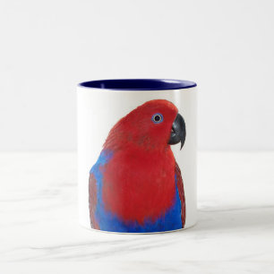 Weibliches Eclectus 11oz Zweifarbige Tasse