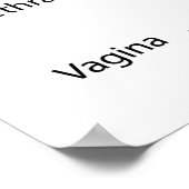 weibliches Fortpflanzungssystem Poster (Ecke)