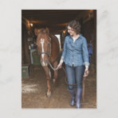 weibliches Führungspferd Postkarte (Vorderseite)