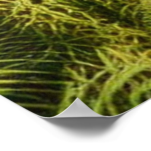 Weibliches Gesicht mit blumigen Pfauenfedern Poster (Ecke)