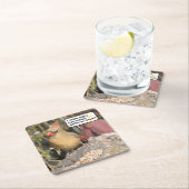 Weibliches Set des Untersetzer des nördlichen Kard (Vor Ort)