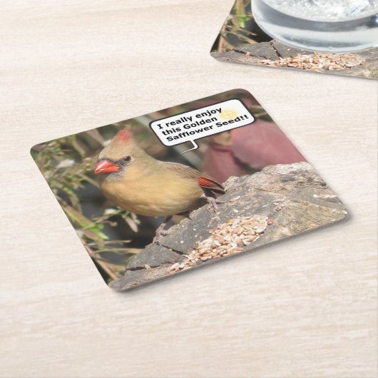 Weibliches Set des Untersetzer des nördlichen Kard (angewinkelt)